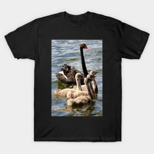 Black Swan and Cygnets T-Shirt